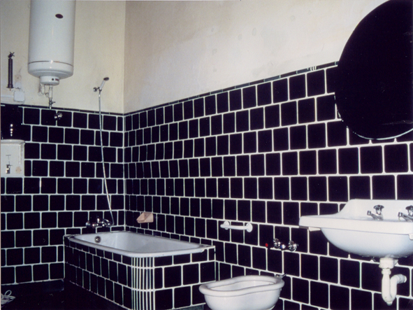 F. J. Ribeiro_To Clean Up