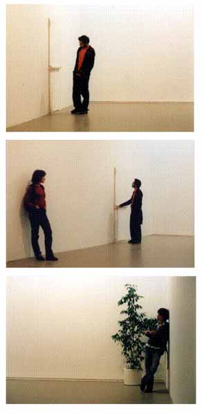 Fernando J. Ribeiro_André Guedes_Luisa Cunha_Fernando Brito_2011