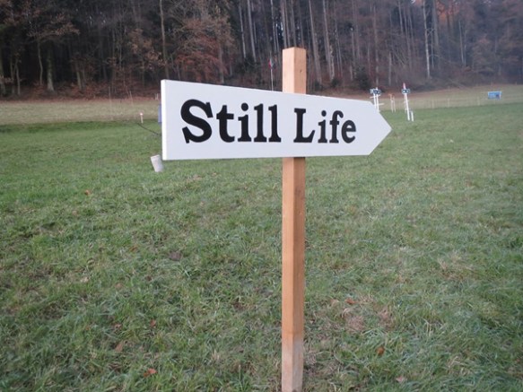 Fernando J. Ribeiro_Still Life_2013_public art