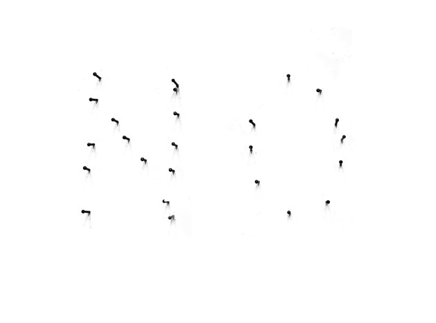 Fernando J. Ribeiro_nails sculpture_2015