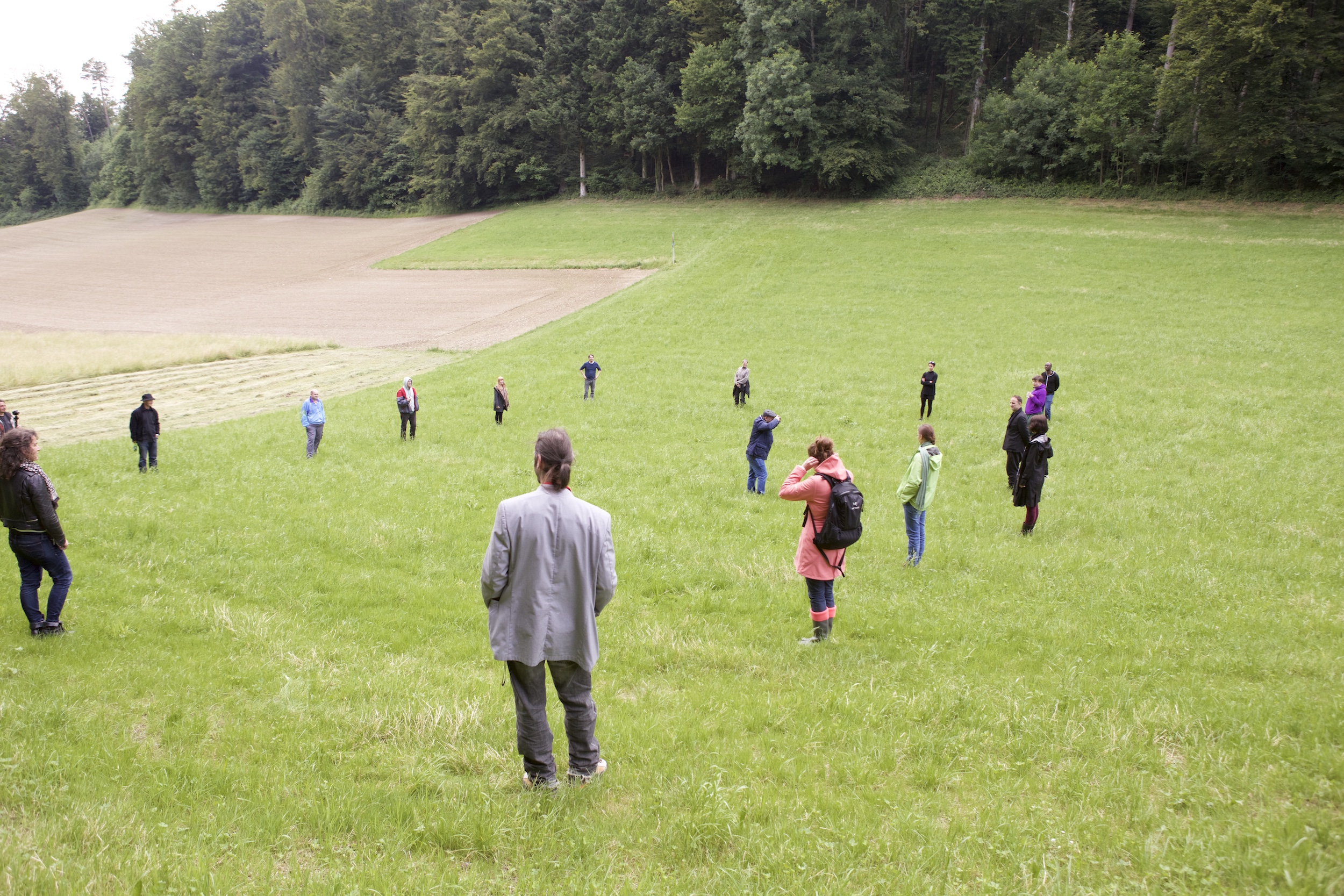 Fernando J. Ribeiro_Performance Participation_2015