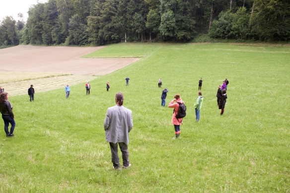 Fernando J. Ribeiro_Performance Participation_2015