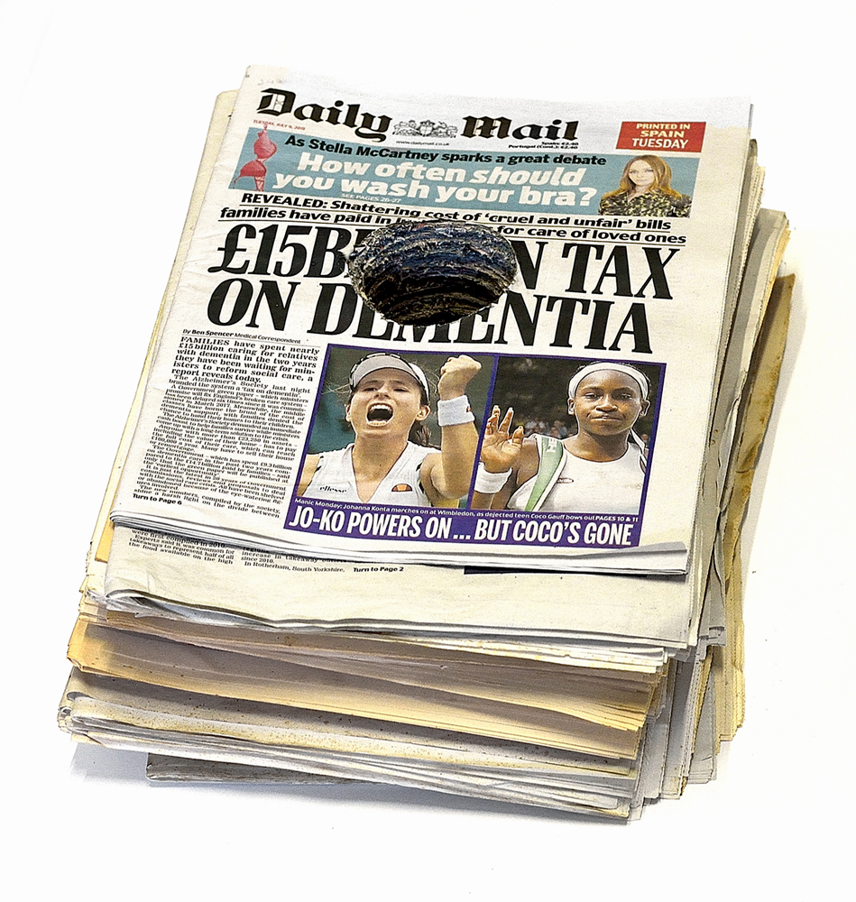 Fernando J. Ribeiro_newspaper sculpture_2017