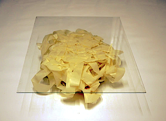 Fernando J. Ribeiro_table_paper tape_2012