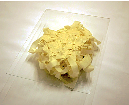 Fernando J. Ribeiro_table_paper tape_2012