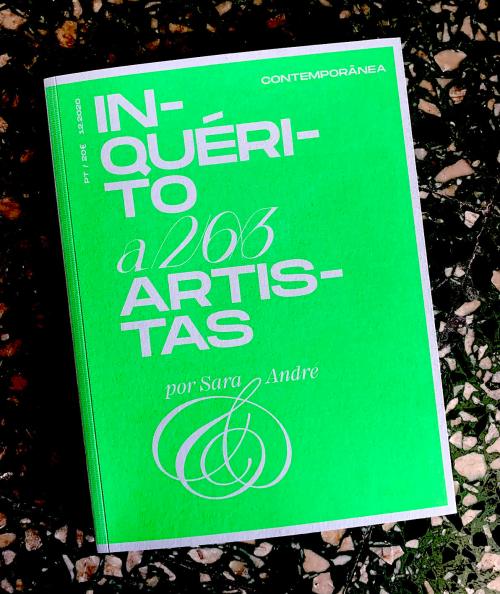 Fernando J. Ribeiro_Sara & André_Inquérito a 263 Artistas_revista Contemporânea_2021
